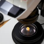 The Leica Research Grade binocular microscope with integeral imaging systems