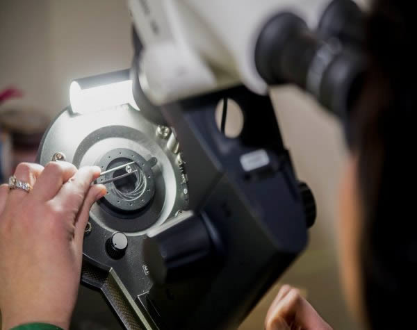 Jewellery Appraiser in Richmond BC