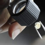 A loose brilliant cut diamond being given a preliminary inspection before being examined thoroughly to assess colour and clarity