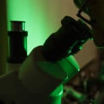 A gemological microscope is used to identify and grade diamonds and colored gems.