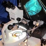 An emerald being examined by a Gemologist under a gemological microscope