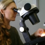 Kathleen using a Gemological microscope to identify a gemstone.