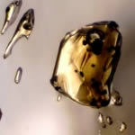 Melissa is an accomplished photo-micrographer (takes photographs through a microscope). Here are some inclusions in rock crystal quartz containing liquid petroleum and methane gas.