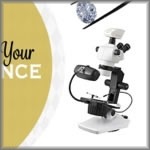 Your jewelry never leaves your sight. Work is carried out in front of you and you are free to ask questions while the Appraiser works on your items.