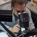 The Jewelry Judge Principal, Barry Block, examining gemstones and diamonds under a gemological microscope