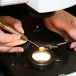 Dr Lule examining an amber under a gemological microscope. Photo credit: Elina Ratcheva