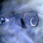 A fascinating three-phase inclusion found in a Sri Lankan sapphire. When the sapphire is gently warmed, the CO<sub>2</sub> gas bubble disappears!