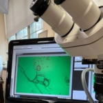 This company uses the latest technology to assist in gemstone identification.