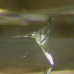 Sherlene has a passion for inclusions inside diamonds. Inclusions can be not only have diagnostic value but also be very beautiful. Here are two photomicrographs of such inclusions, one resembles a hummingbird!